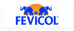 fevicol